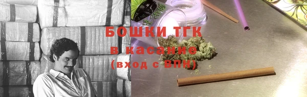 прущие грибы Покров