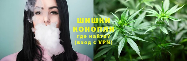 прущие грибы Покров