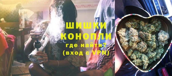 прущие грибы Покров