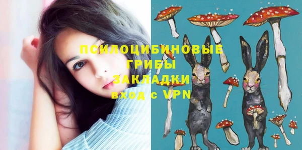 гашик Покачи