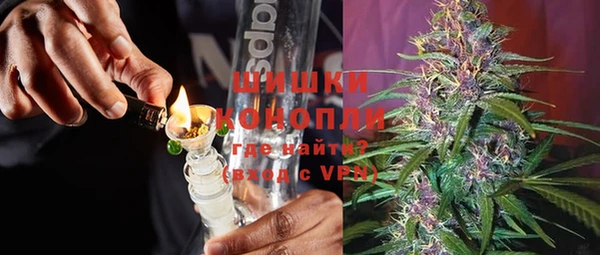 прущие грибы Покров